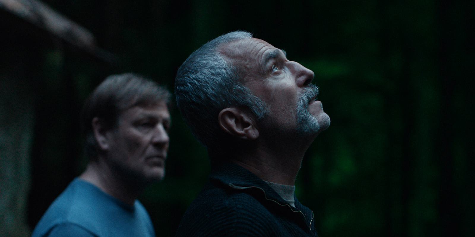 Two middle-aged men stand outside at dusk. The man in the foreground, Ben Fordesman, with short grey hair and a moustache looks upward, while the other man faces forward. A dark forest and anemone flowers are visible behind them.