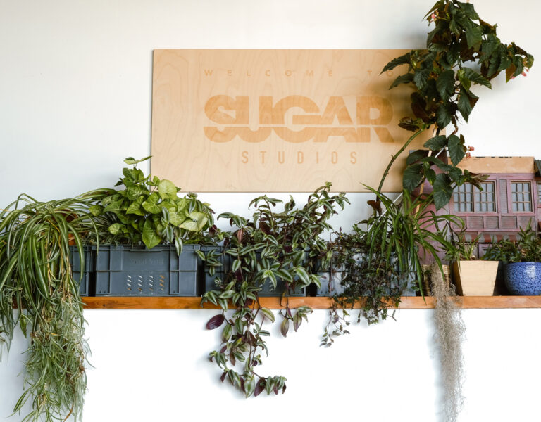 A Sugar Studios sign next to plants